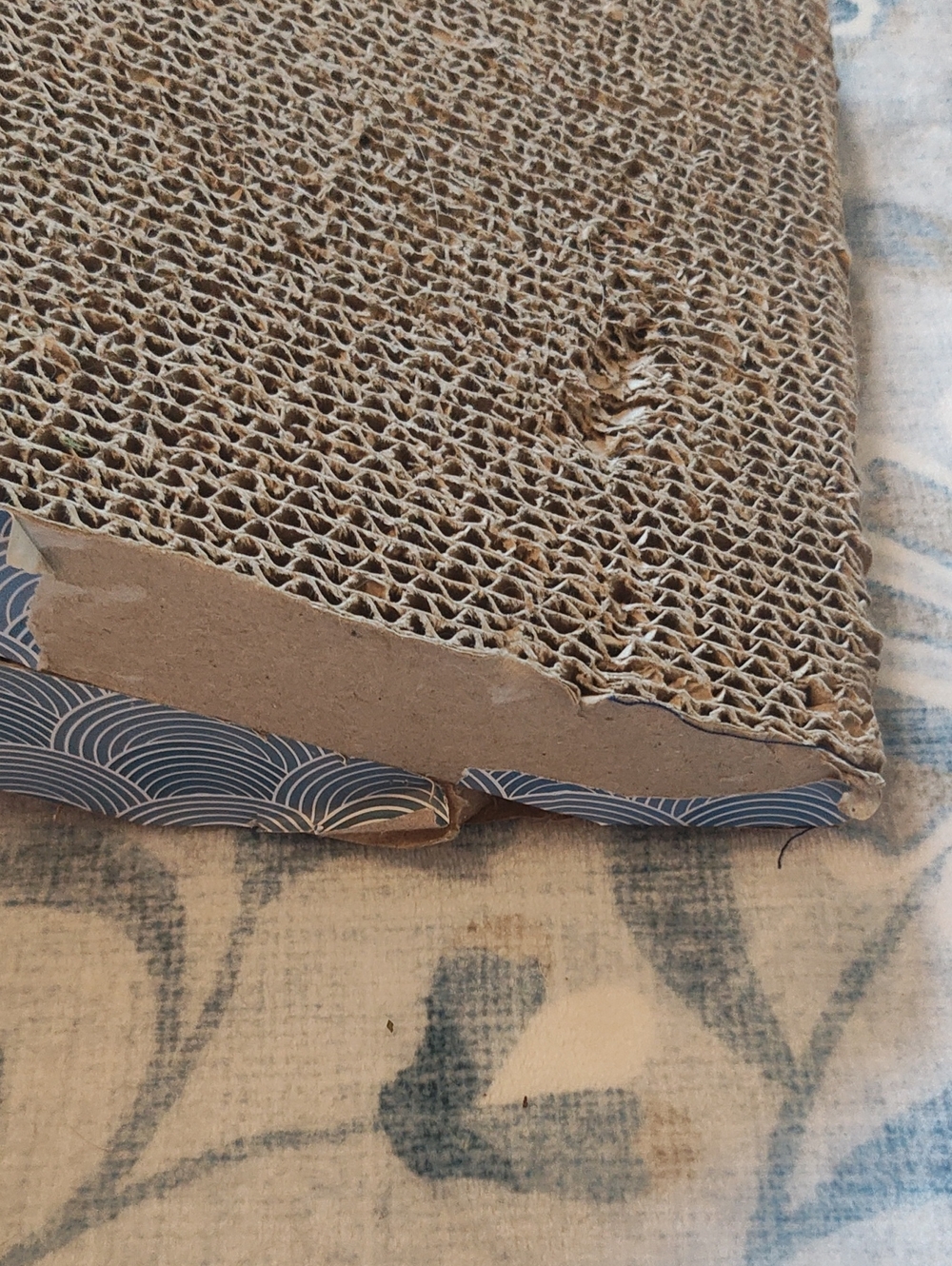 PETS: CAT SCRATCHER SET - Picture 11 of 13